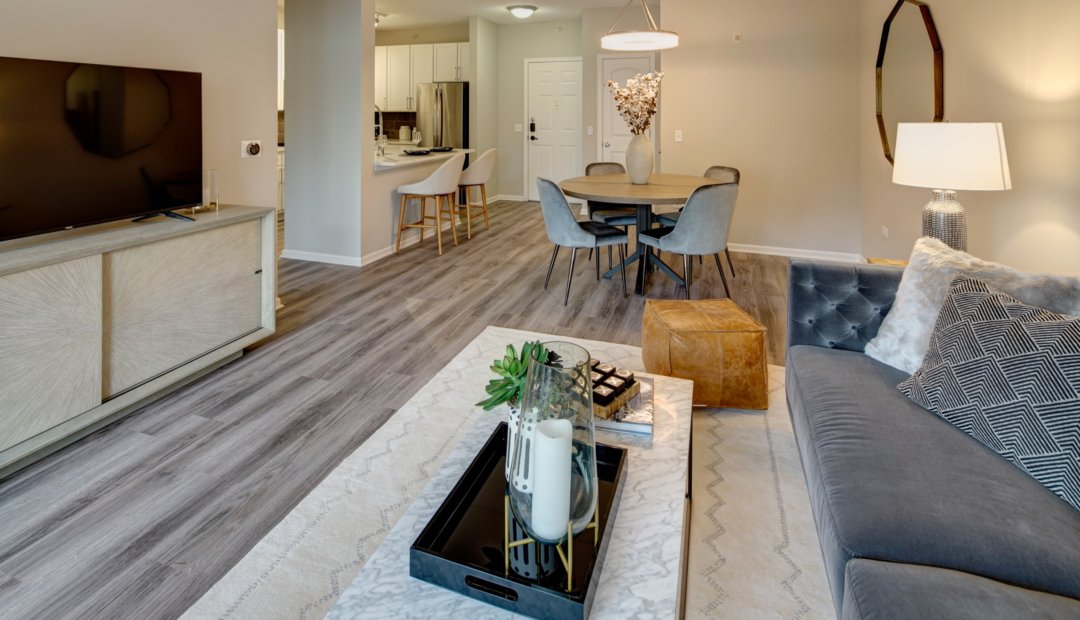 Living room South facing wide Living room South facing wide